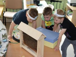 50317408911705885482024254900942762110073571n